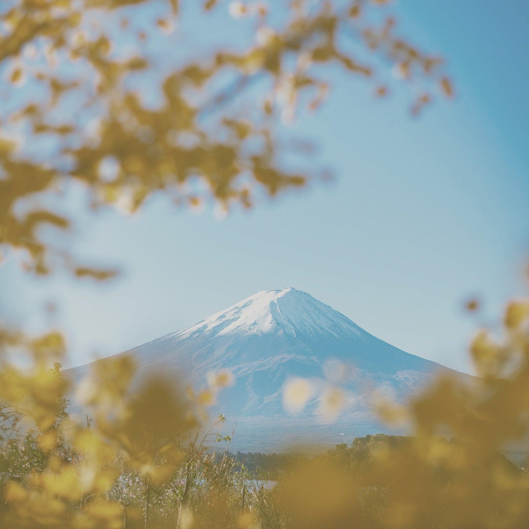 屬於你的富士山之旅｜道具挑選特輯 - NANOKA LIVING ｜和洋選品